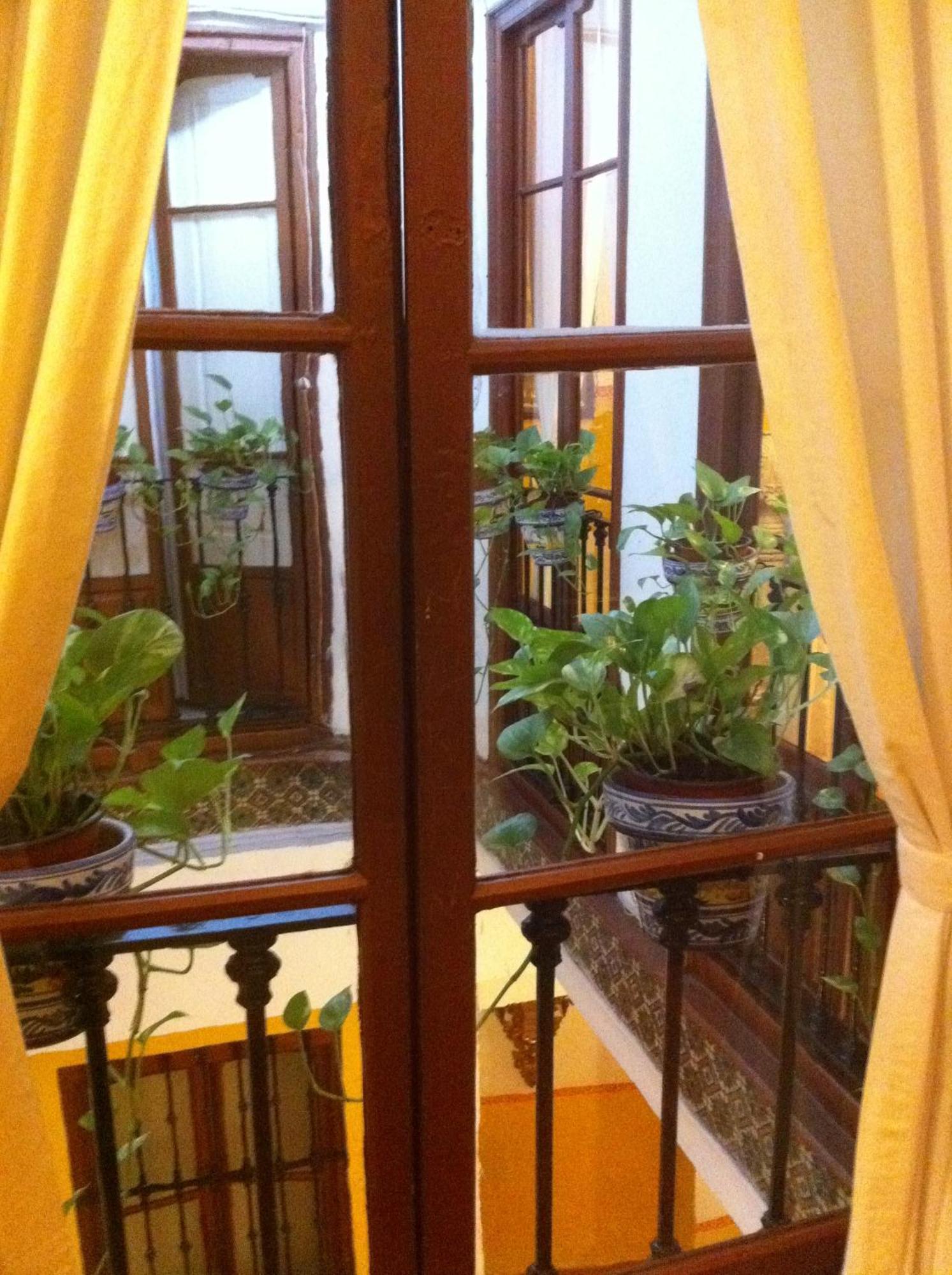 Bed & Breakfast Naranjo Seville Exterior photo
