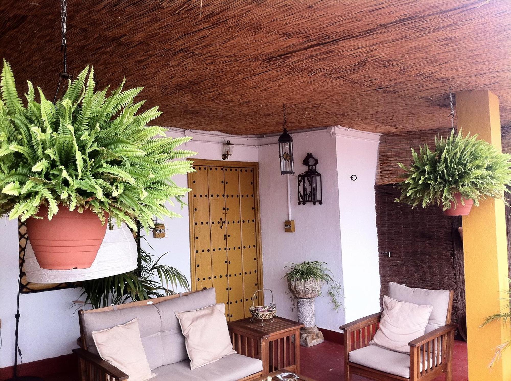 Bed & Breakfast Naranjo Seville Exterior photo